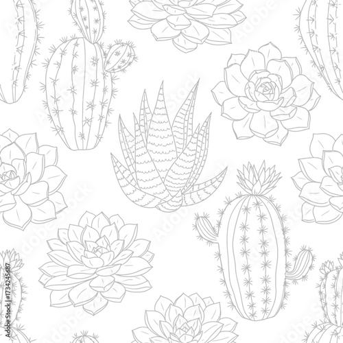 Hand Drawn Cacti and Succulents Seamless Pattern Illustration. EPS Editable