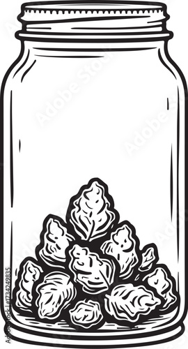 Marijuana Cannabis Hemp Buds in Jar CBD THC Hand-drawn Sketch Drawing Vector Illustration, Line Linear Symbol Engraving Coloring Book, Black and White Isolated