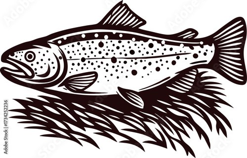 Engraved trout fish illustration swimming over aquatic plants isolated on white background