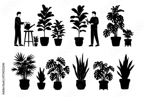 Set of Vector Silhouettes of a "Plant Parent" Caring for Houseplants