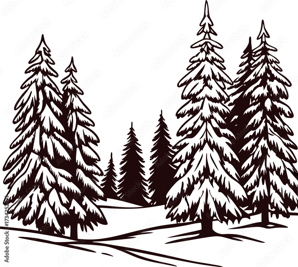 Obraz premium Snow covered pine trees and winter forest scene in hand drawn engraving isolated on white background
