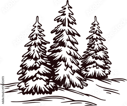 hand drawn evergreen pine trees with snow on branches winter forest sketch illustration isolated on white