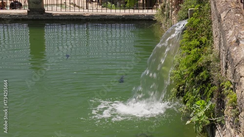 Waterfall flowing into a serene green pond
