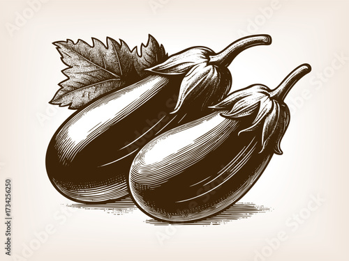 two whole eggplants with a leaf, symbolizing fresh vegetables, natural produce, and traditional botanical art sketch engraving generative ai vector illustration. Scratch board. Black and white image.