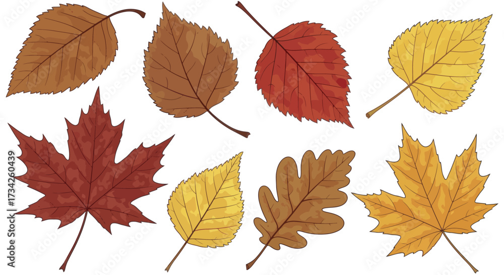 Fototapeta premium Autumn Leaves Vector Illustration Set of Hand Drawn Fall Foliage in Earthy Tones