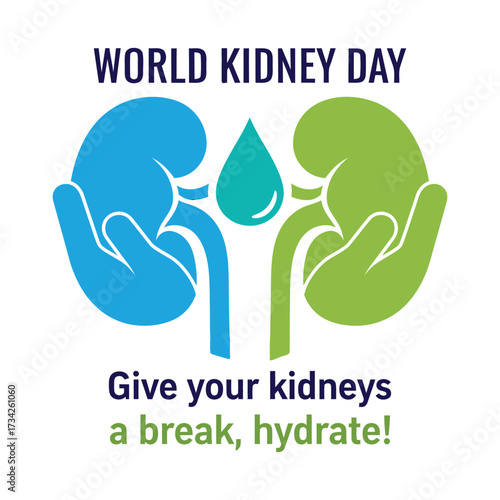Blue and green kidneys with water drop health hydration