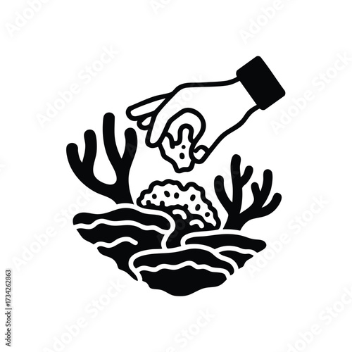 Hand Placing Coral Fragment onto Reef with Underwater Plants in a Marine Environment