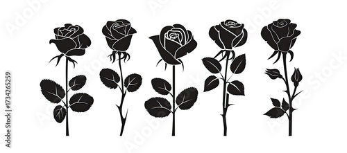 Five rose silhouettes on white background. Use graphic elements, cards