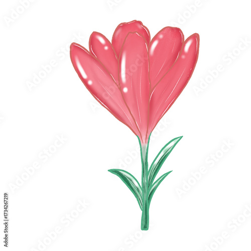 Red flowers. Simple abstract flowers. Bright flower heads. Cartoon flower drawings. Card decoration elements.
