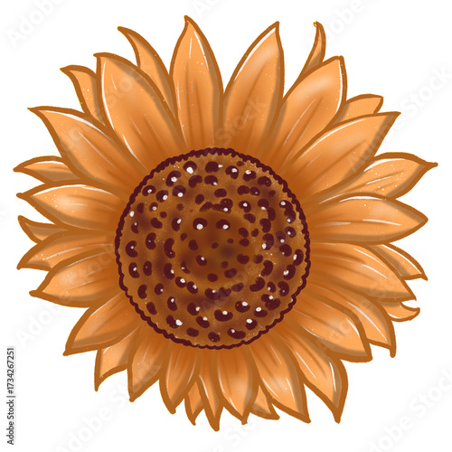 Sunflower. Flower head. Simple abstract flower. Bright flower. Cartoon flower drawing. Card decoration element.