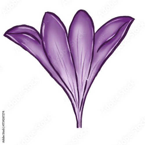 Purple flowers. Flower heads. Simple abstract flowers. Bright flowers. Cartoon flower drawings. Card decoration elements.