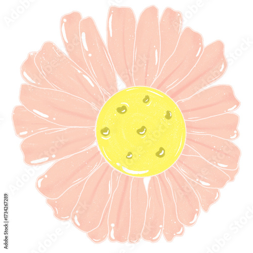 Pastel orange flowers. Simple abstract flowers. Bright flower heads. Cartoon flower drawing. Decorative card elements.