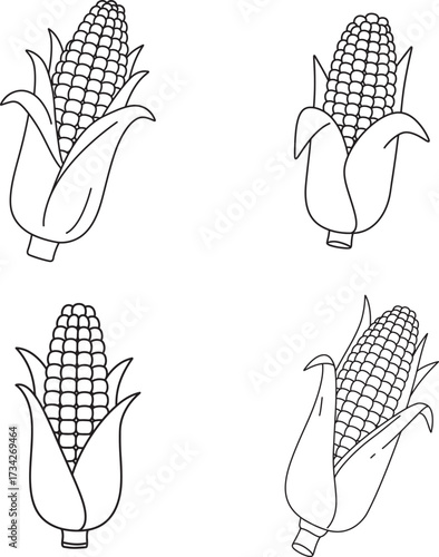Four hand drawn illustrations of corn on the cob with husks in a simple line art style
