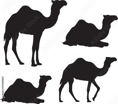 Create a Camel set of the Desert vector art silhouette on white background