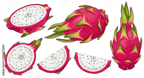 Vibrant illustrated set of exotic dragon fruit, showing whole, halved, and sliced pitaya with white flesh and black seeds.