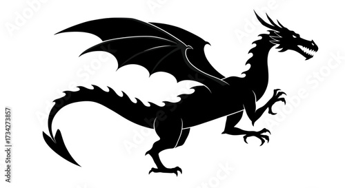 Fierce black dragon silhouette with spread wings, sharp claws, and a spiky tail.