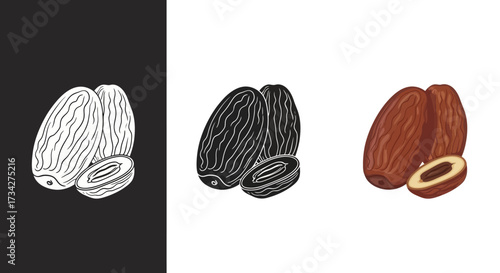 Date Fruit Vector Illustration Set with Color and Monochrome Styles