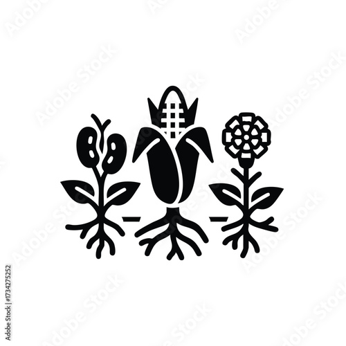 Stylized botanical symbols representing different plant species with roots, leaves, and flowers in a minimalistic black silhouette design