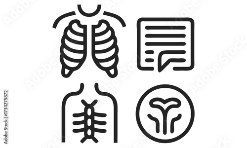 Human Anatomy Internal Organs and Body Systems