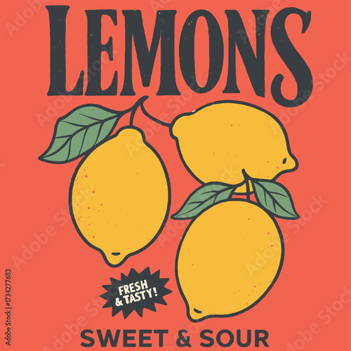 vector illustration of an orange fruit