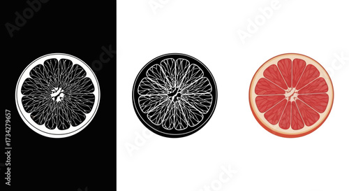 Icon Set Vector of Grapefruit Citrus Slice in Realistic Pink and Monochrome Line Art Styles