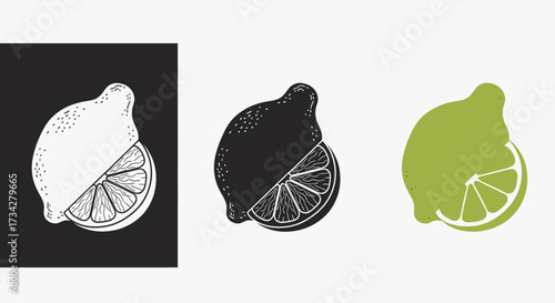 Illustration Vector Set of Stylized Lemon Citrus Fruit Graphics
