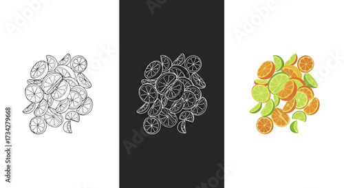 Vector Illustration Set of Sliced Citrus Fruit with Orange and Lime Elements