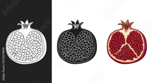 Icon Set Vector of Hand Drawn Pomegranate Fruit Slices in Vintage and Realistic Styles