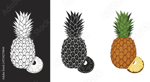 Pineapple Vector Illustration Set with Realistic Full Color and Grunge Monochrome Styles