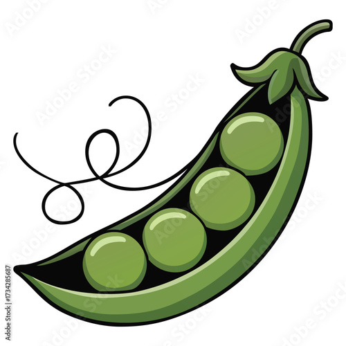 Illustration of a fresh green pea pod with four peas inside