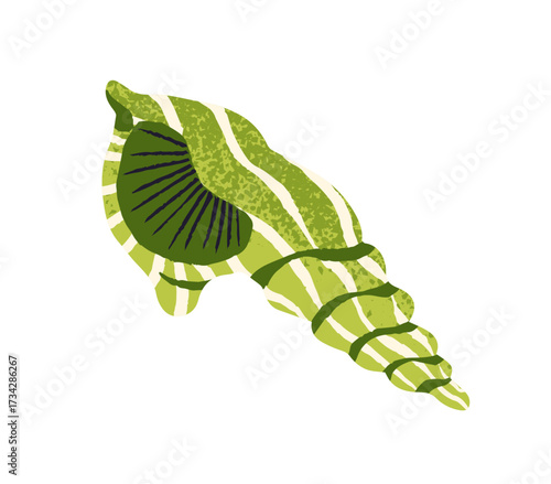 Icon of big patterned seashell with coiled shape. Exotic green sea shell. Ocean spiral conch of mollusk. Tropical clamshell. Undersea decoration. Flat isolated drawing vector illustration on white.