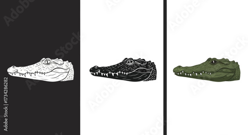 Stylized Alligator Head Vector Illustration Set in Monochrome and Color for Mascot Design