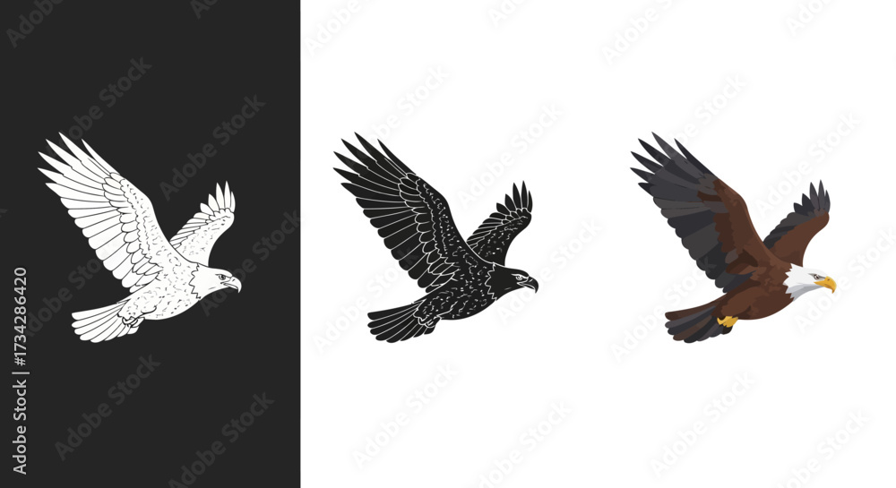 Fototapeta premium Stylized Flying Eagle Vector Icon Set with Color Monochrome and Grunge Styles