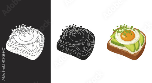 Illustration Set Vector of Stylized Avocado Toast with Fried Egg for Cafe and Brunch Menus