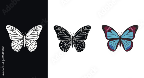Butterfly Illustration Vector Icon Set with Stylized Color and Monochrome Designs