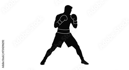 A dynamic boxer in fighting stance presented as a dark silhouette