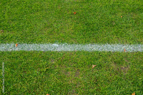 Close-up of a white line marking on green grass, perfect for sports fields.