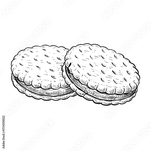 sandwich biscuits chocolate filling vector line art hand drawn illustration