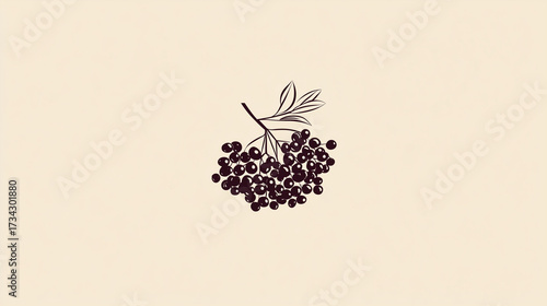 Minimalist elderberry logo, vector art, flat background, tiny clustered dots, clean elegant lines