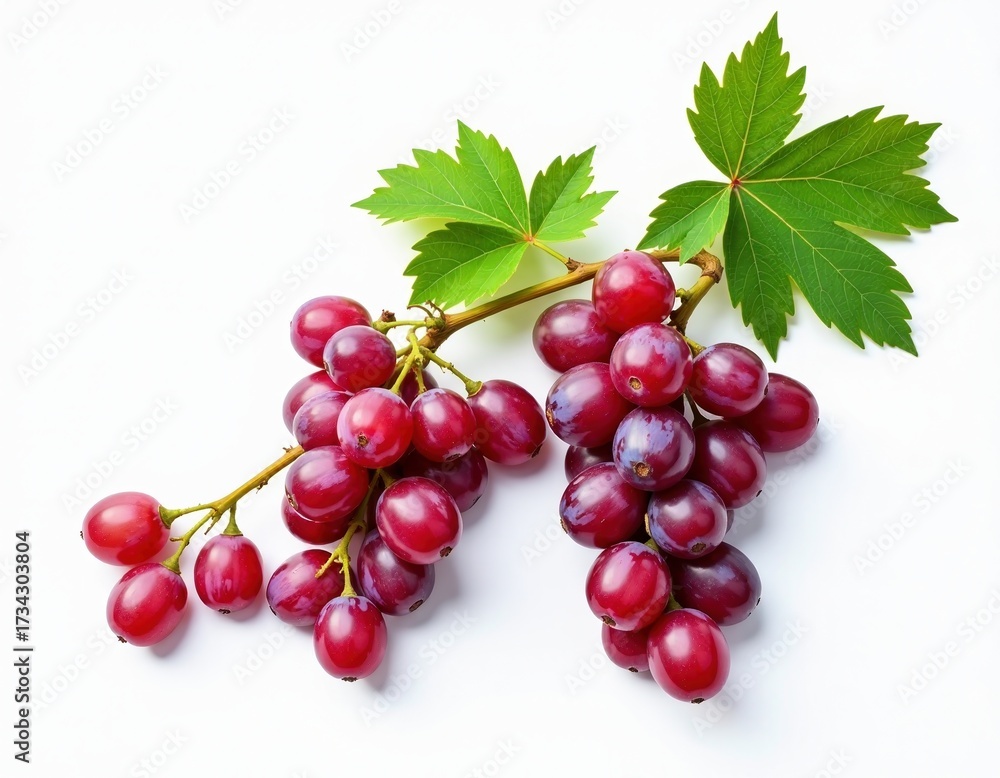 Fototapeta premium Fresh Red Grapes with Green Leaves Isolated on White Background