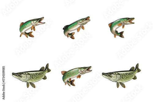 A set of funny animal vector designs, including fish, reptile, and amphibian characters, isolated on white