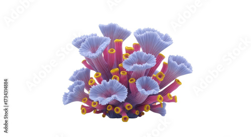 Fototapeta Naklejka Na Ścianę i Meble -  Isolated colorful sea coral, marine wildlife design element for aquariums and decoration
