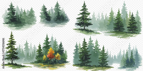 Watercolor painting of a forest with various groupings of evergreen trees in different shades of green.