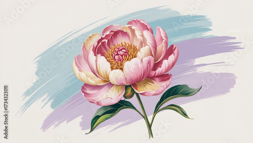 Delicate pink peony flower with soft brushstrokes of blue and purple watercolor creating a dreamy artistic background perfect for floral designs and spring themes