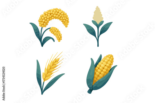 Collection of essential agricultural cereal grains including millet, sorghum, wheat, and corn plants, representing staple food crops