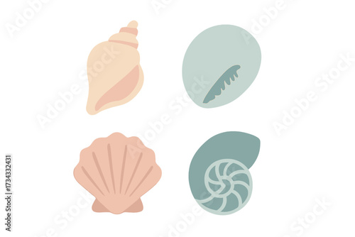 Stylized collection of diverse marine mollusk shells in soft pastel colors with a minimalist design on a clean white background