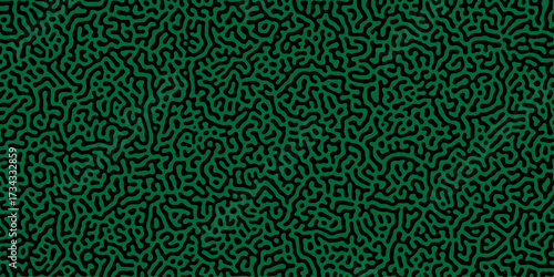 Abstract truing organic wallpaper Turing reaction diffusion monochrome seamless pattern .Monochrome Turing reaction background .Natural seamless line pattern. Linear design with biological shapes