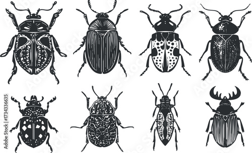 A collection of intricately designed black and white beetle illustrations showcasing various species..