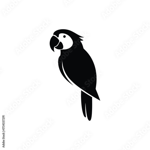 Stylized black silhouette of a parrot bird isolated on white background silhouette
