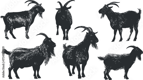 A collection of artistic goat silhouettes showcasing various poses and features in black and white..